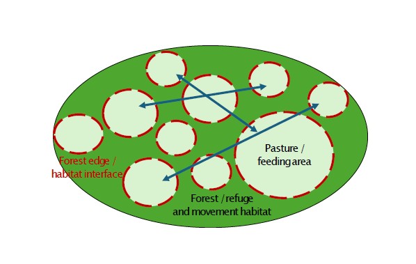 Continuous mosaic territorial model