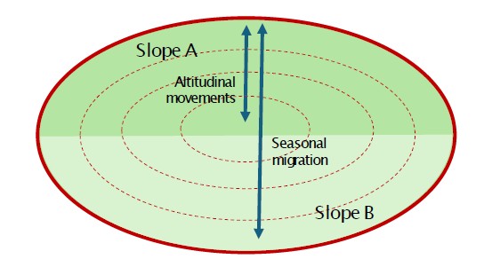 Multi-slope altitudinal territorial system